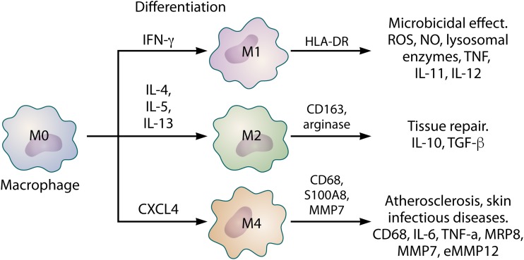 FIG 3