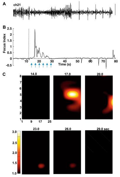 Fig. 3