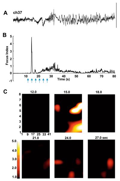 Fig. 4