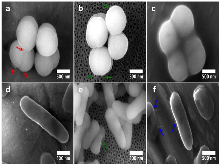 Figure 10