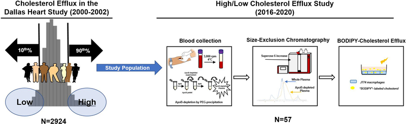 Figure 1: