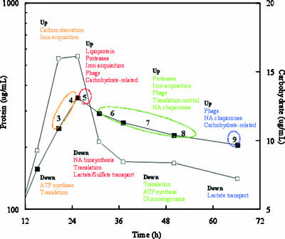 FIG. 7.