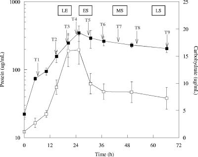 FIG. 1.