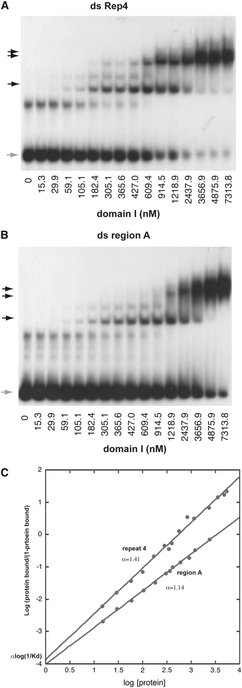 Figure 4.—