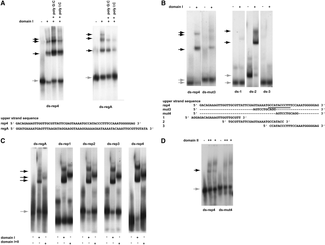 Figure 3.—