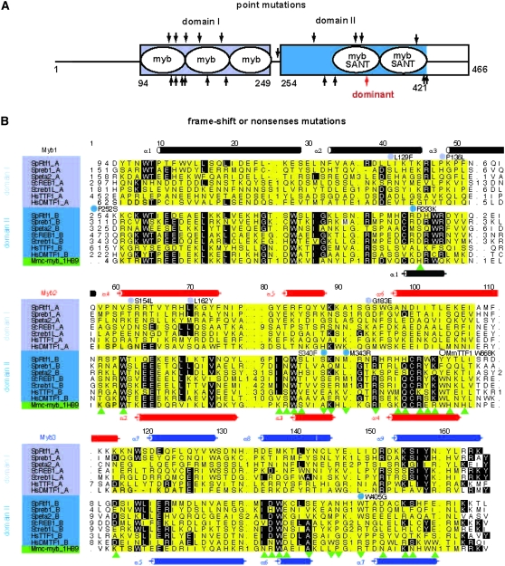 Figure 2.—