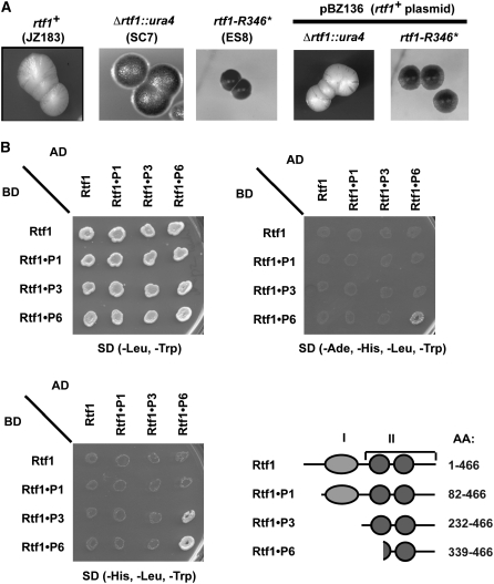 Figure 7.—