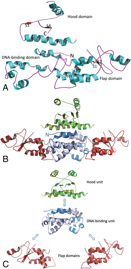 Fig. 2.