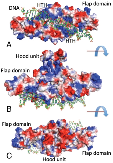 Fig. 3.