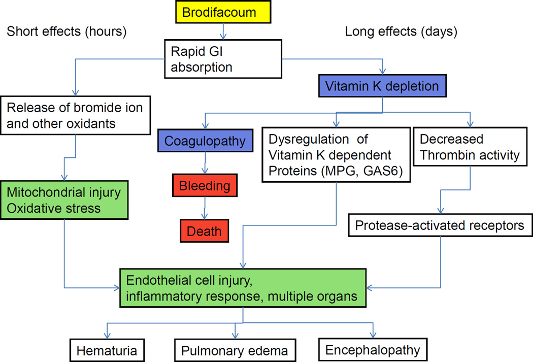 Schema 1