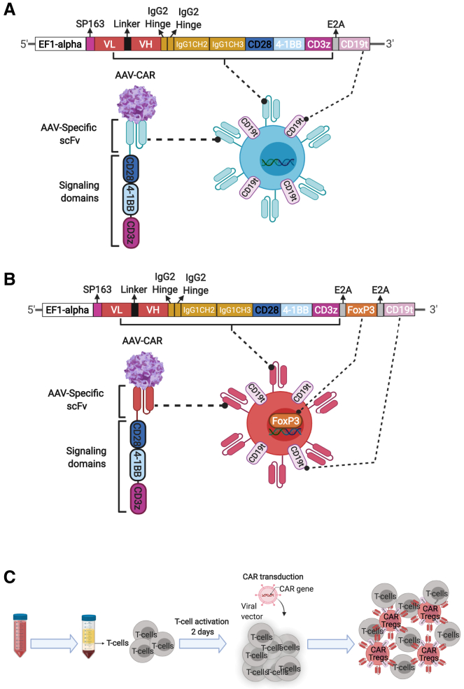 Figure 1