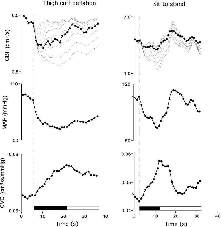 Fig. 3