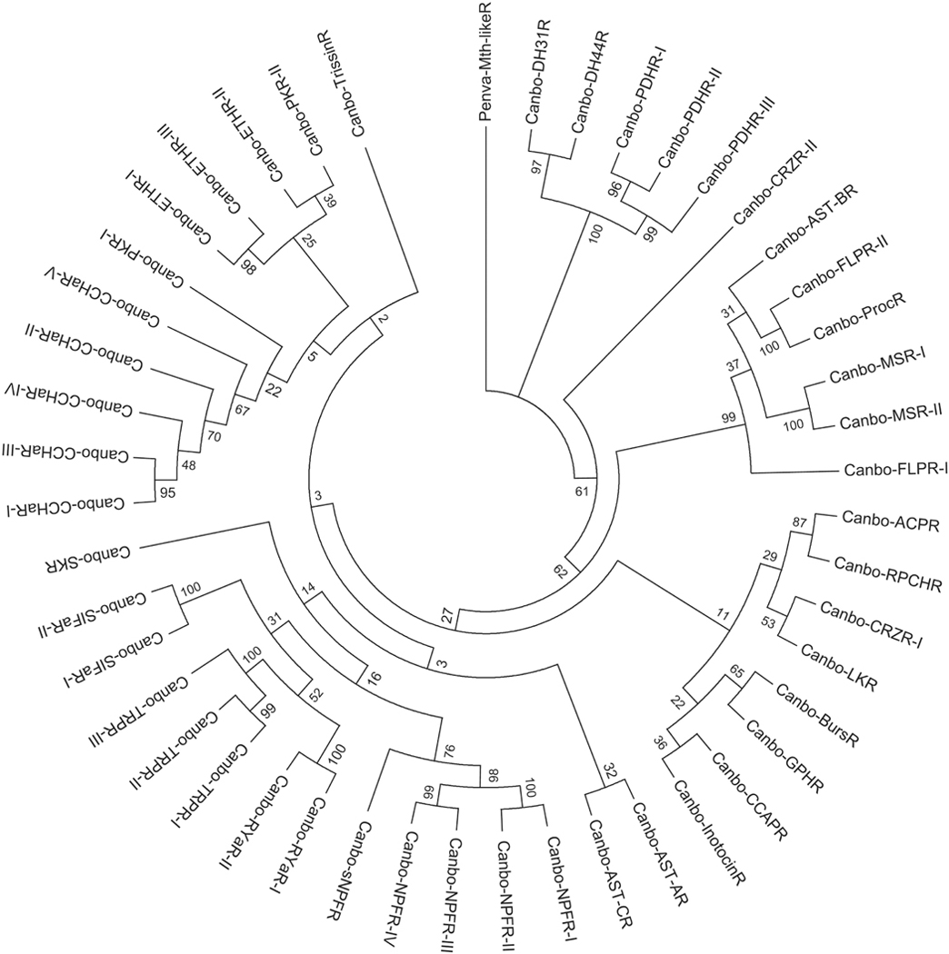 Figure 6.