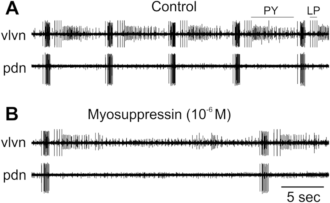 Figure 12.