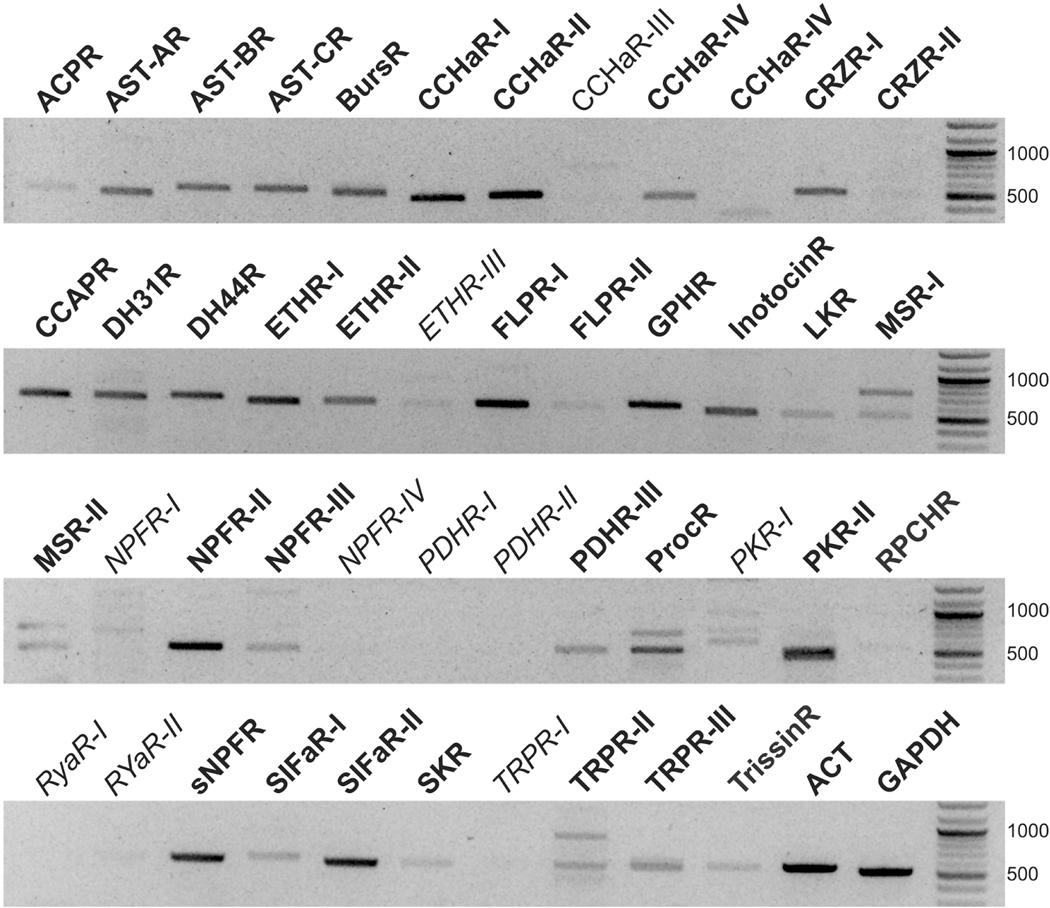 Figure 10.