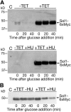 Figure 10.