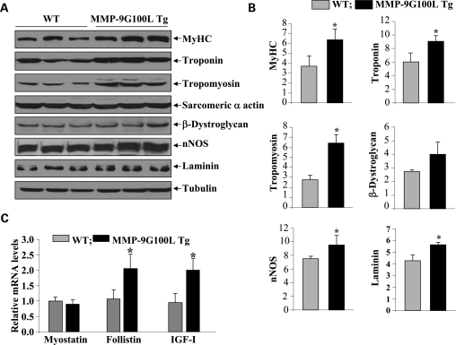 Figure 4.