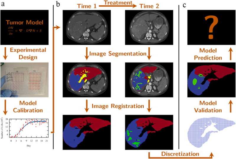 Figure 3: