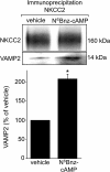 FIGURE 10.