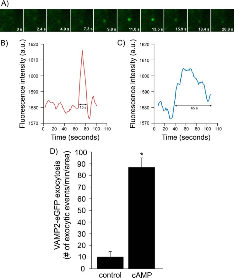 FIGURE 9.