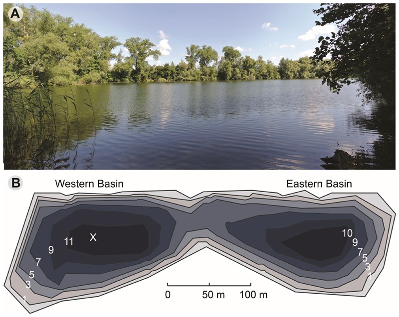 FIGURE 1