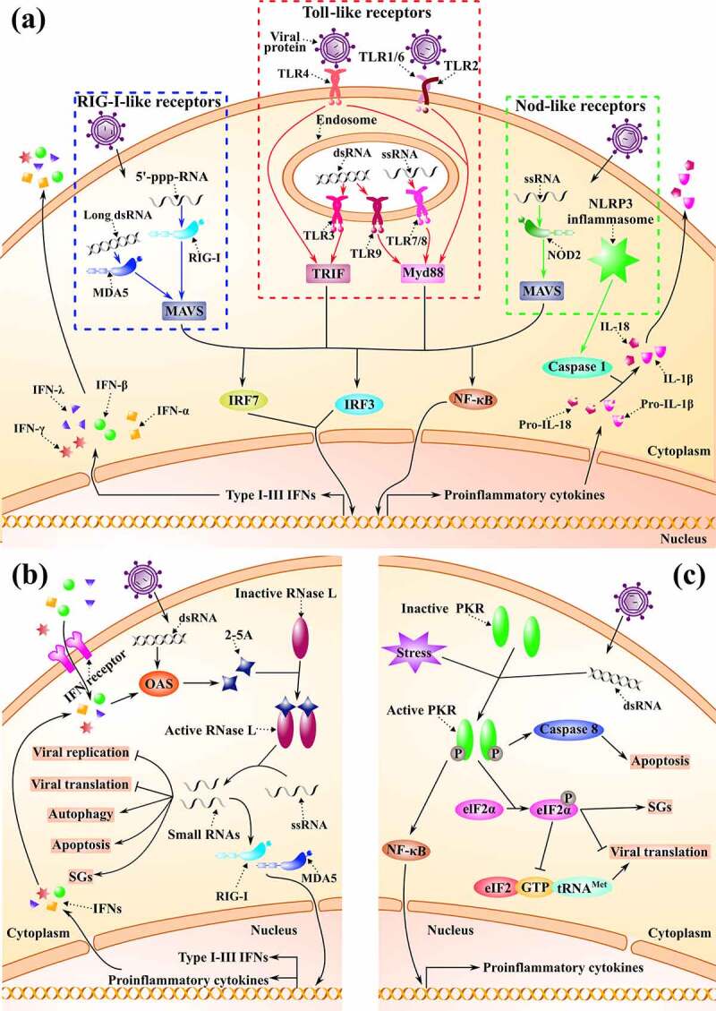 Figure 2.