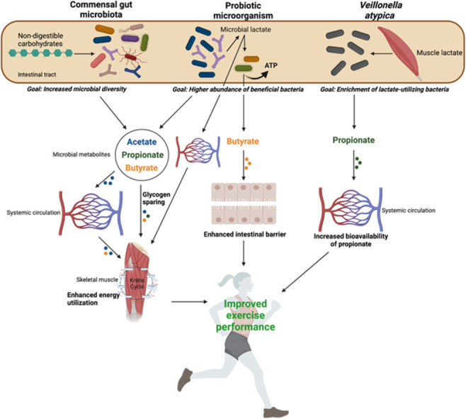 Image, graphical abstract