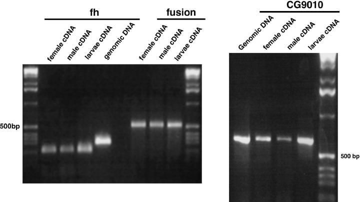 Figure 1.—