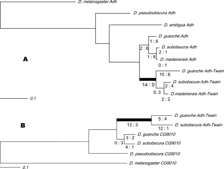 Figure 4.—