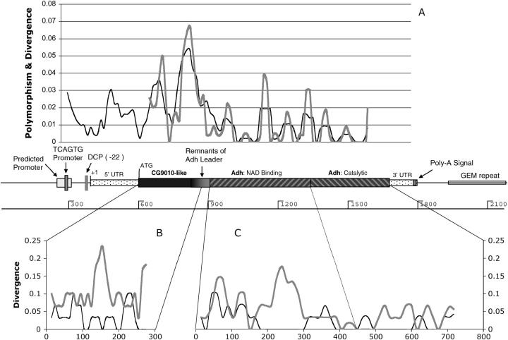 Figure 3.—