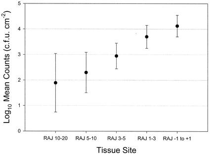 FIG. 2.