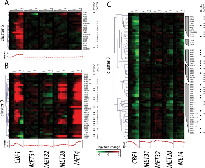 FIGURE 4: