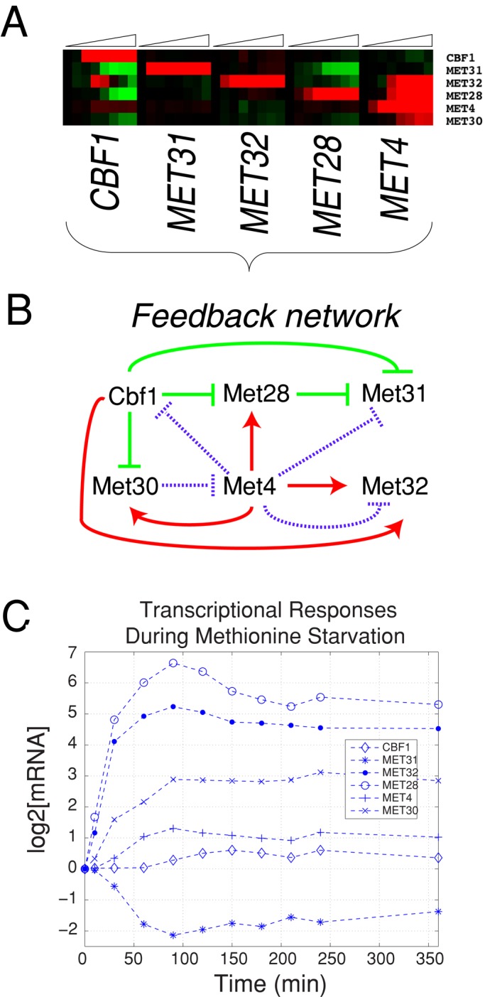 FIGURE 7: