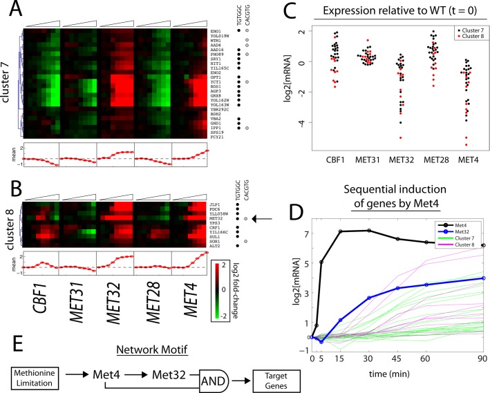 FIGURE 6: