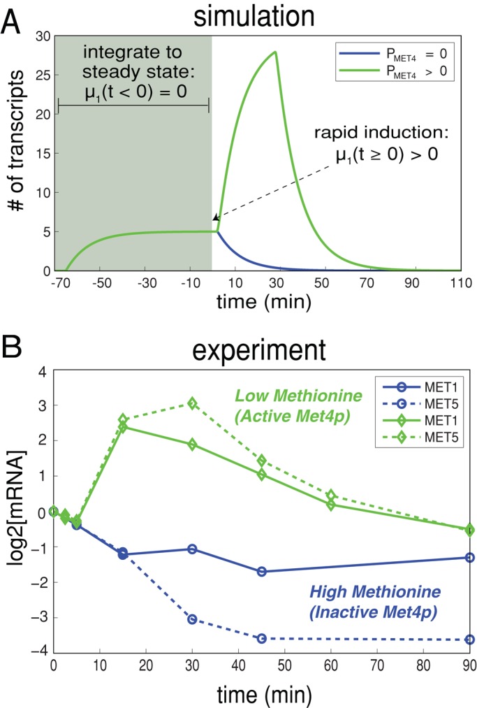 FIGURE 5: