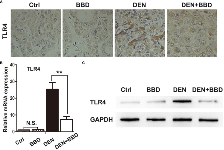 Figure 4