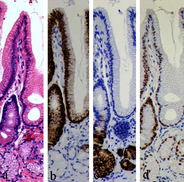 Fig. 7. 