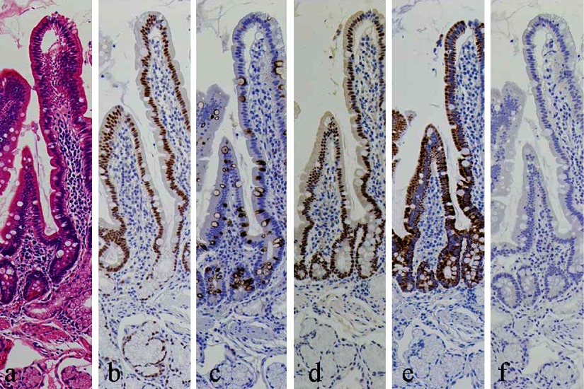 Fig. 8. 