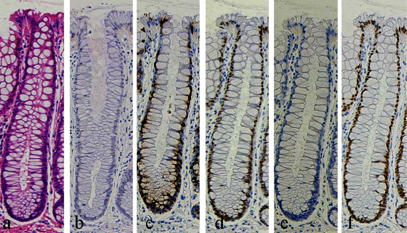 Fig. 9. 