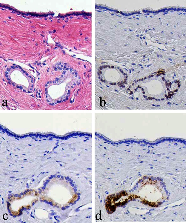 Fig. 11. 