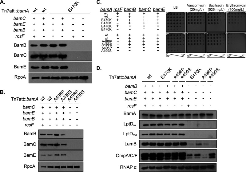 FIG 2