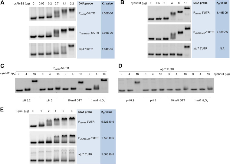 FIG 4