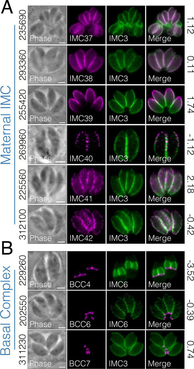 FIG 10