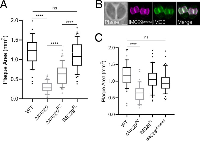 FIG 4