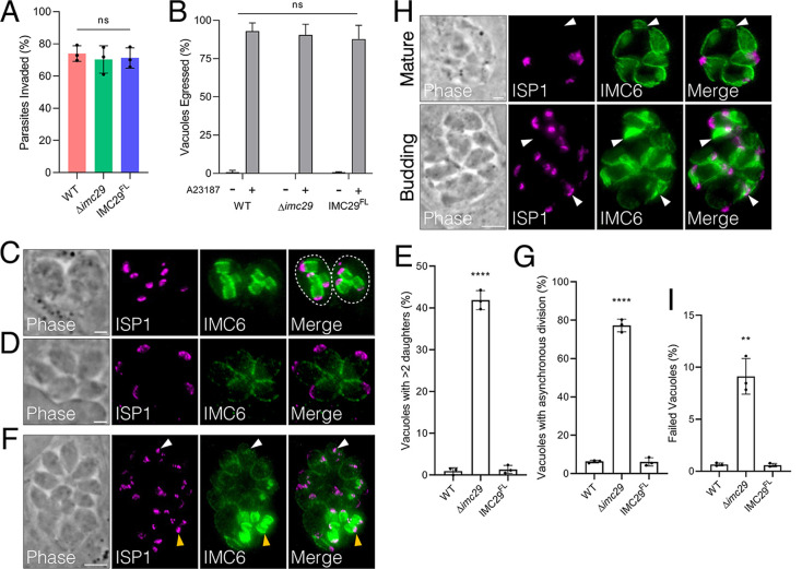 FIG 3