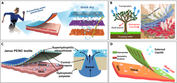 Figure 3