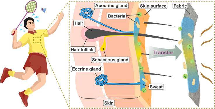 Figure 1