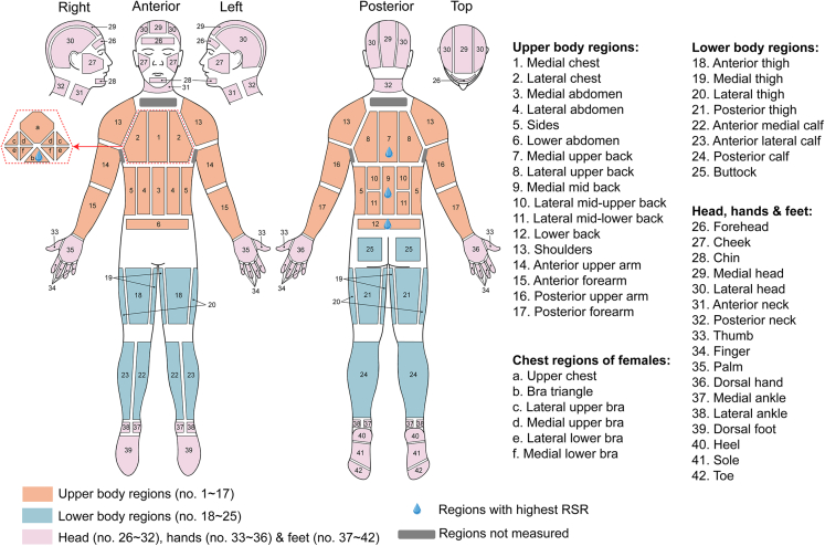 Figure 2