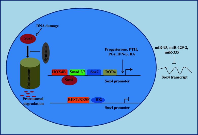 Fig. 2