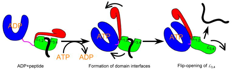 Figure 7